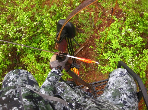 A view from a rainy day in the spring bear stand. My nephew was to arrow a nice, 300# bear from a different location this afternoon. I had the pleasure of dragging his bear out for him. His expression when he first caught a glimpse of what he had shot; was well worth the effort...even if it was supposed to have been MY bear!